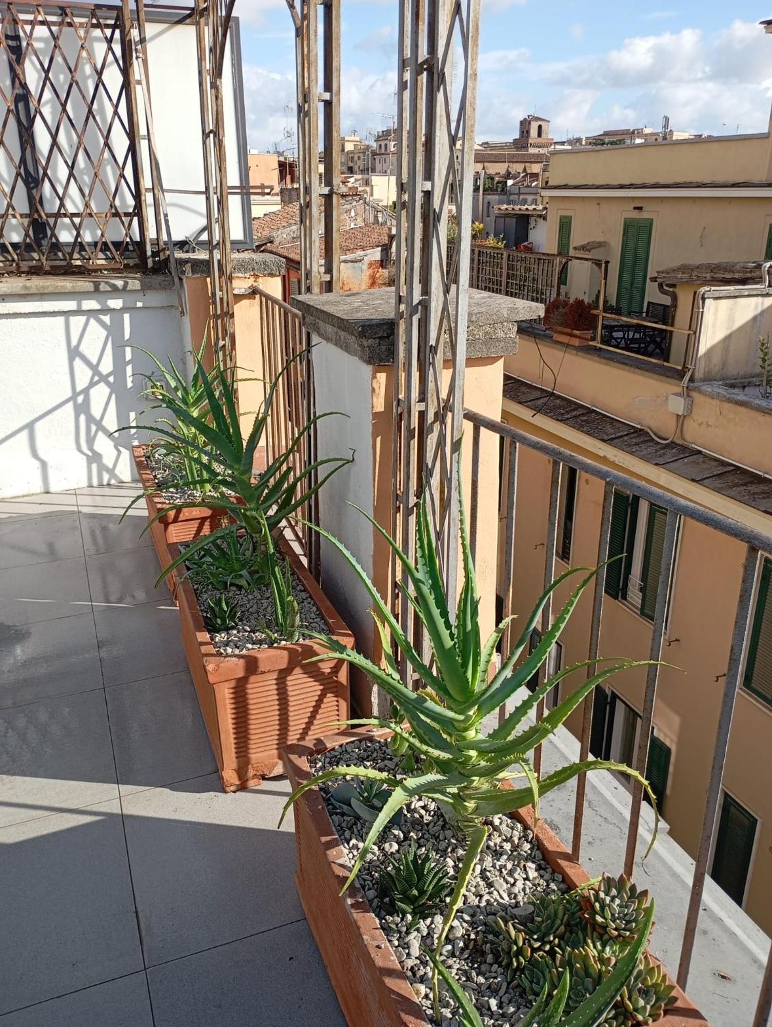 Colosseum Exclusive Duplex Roma Exterior foto